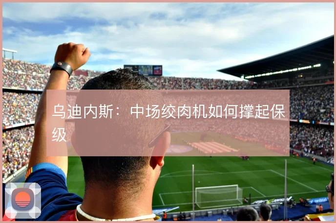 乌迪内斯：中场绞肉机如何撑起保级