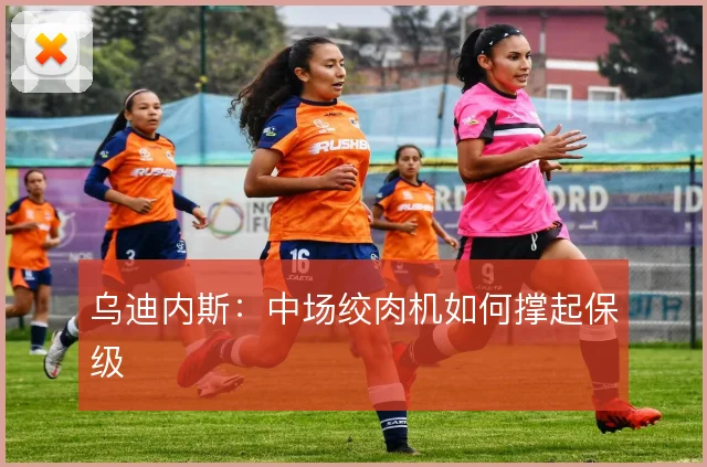 乌迪内斯:中场绞肉机如何撑起保级