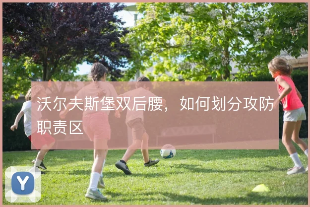 沃尔夫斯堡双后腰，如何划分攻防职责区